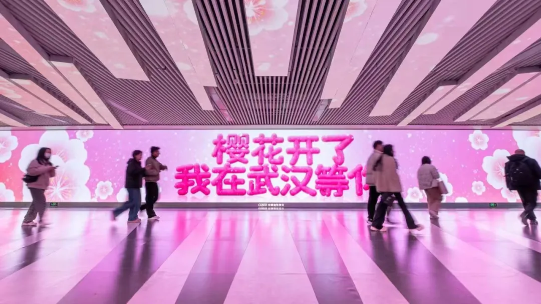 img.jpg